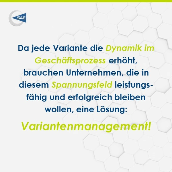 Warum brauchen Varianten Management_8